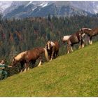 Impression vom Ausflug Mühlbach, Hochkönig