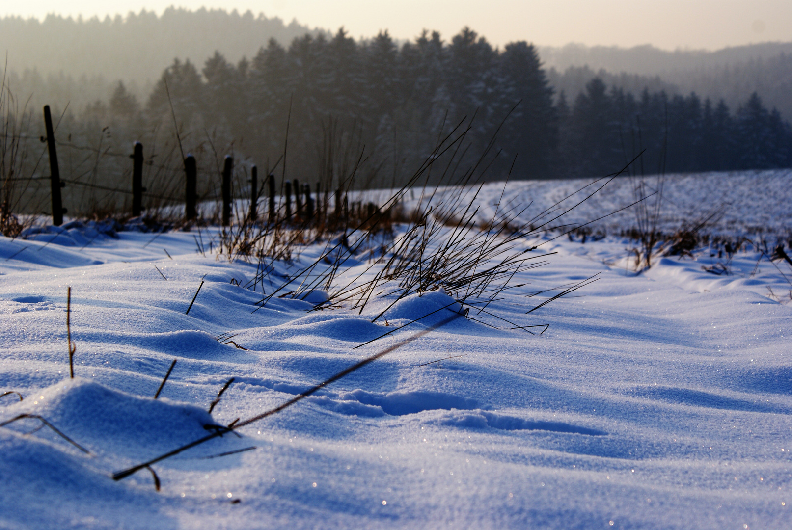 Impression vom Felde