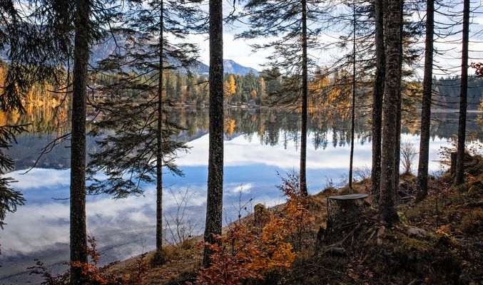 Impression vom Herbstwald