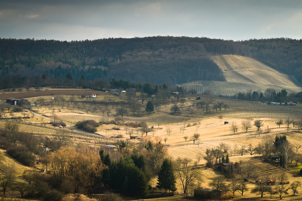 Impression vom Neckar