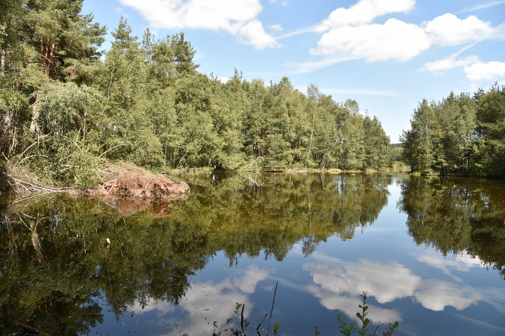 Impression vom Schwenninger Moos