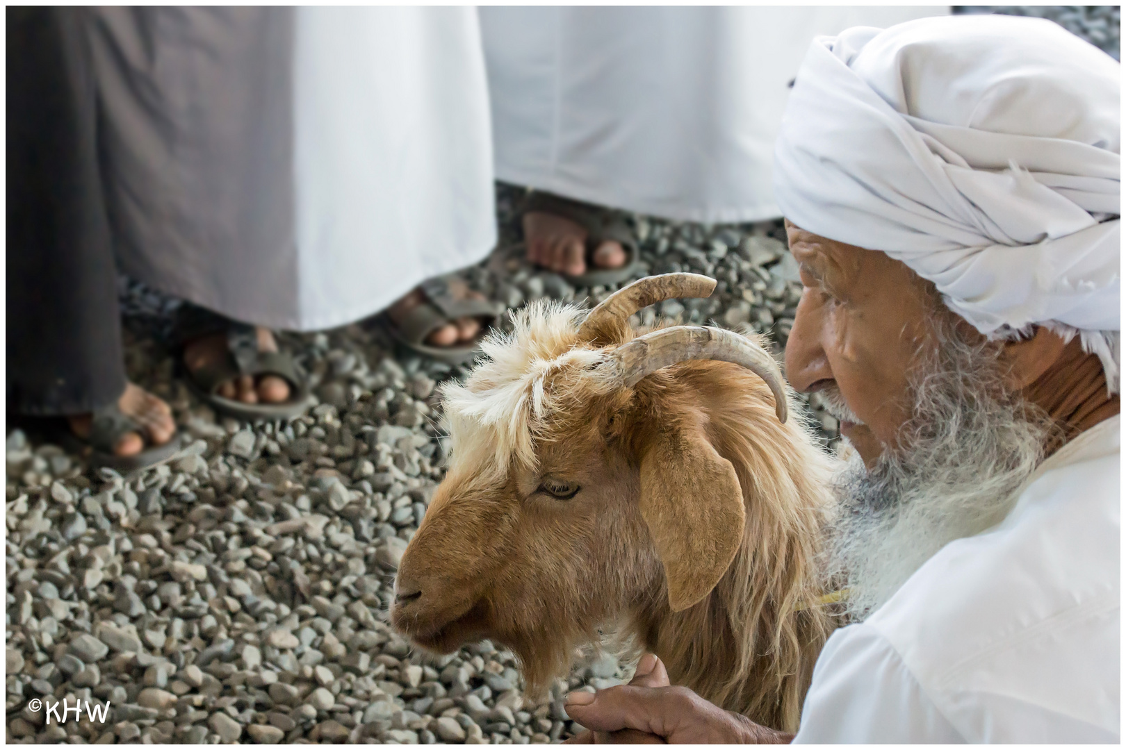 Impression vom wöchentlichen Viehmarkt in Nizwa (Oman)