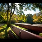 Impression von einer gemütlichen Rast auf einer Parkbank im Herbst *hach*