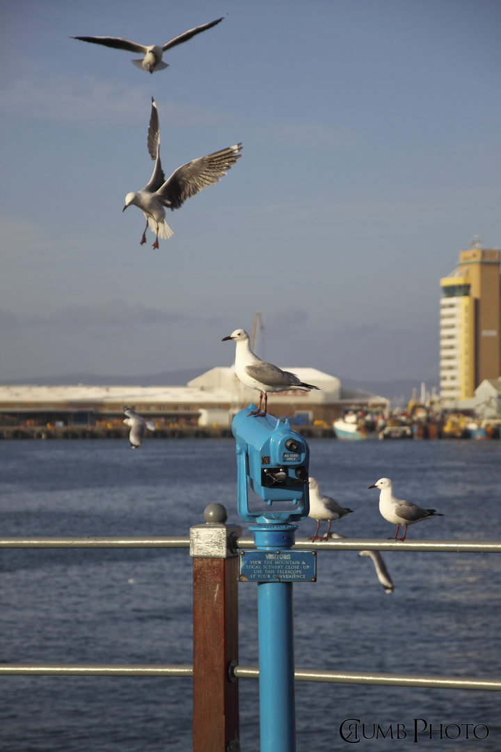 Impression Waterfront Capetown