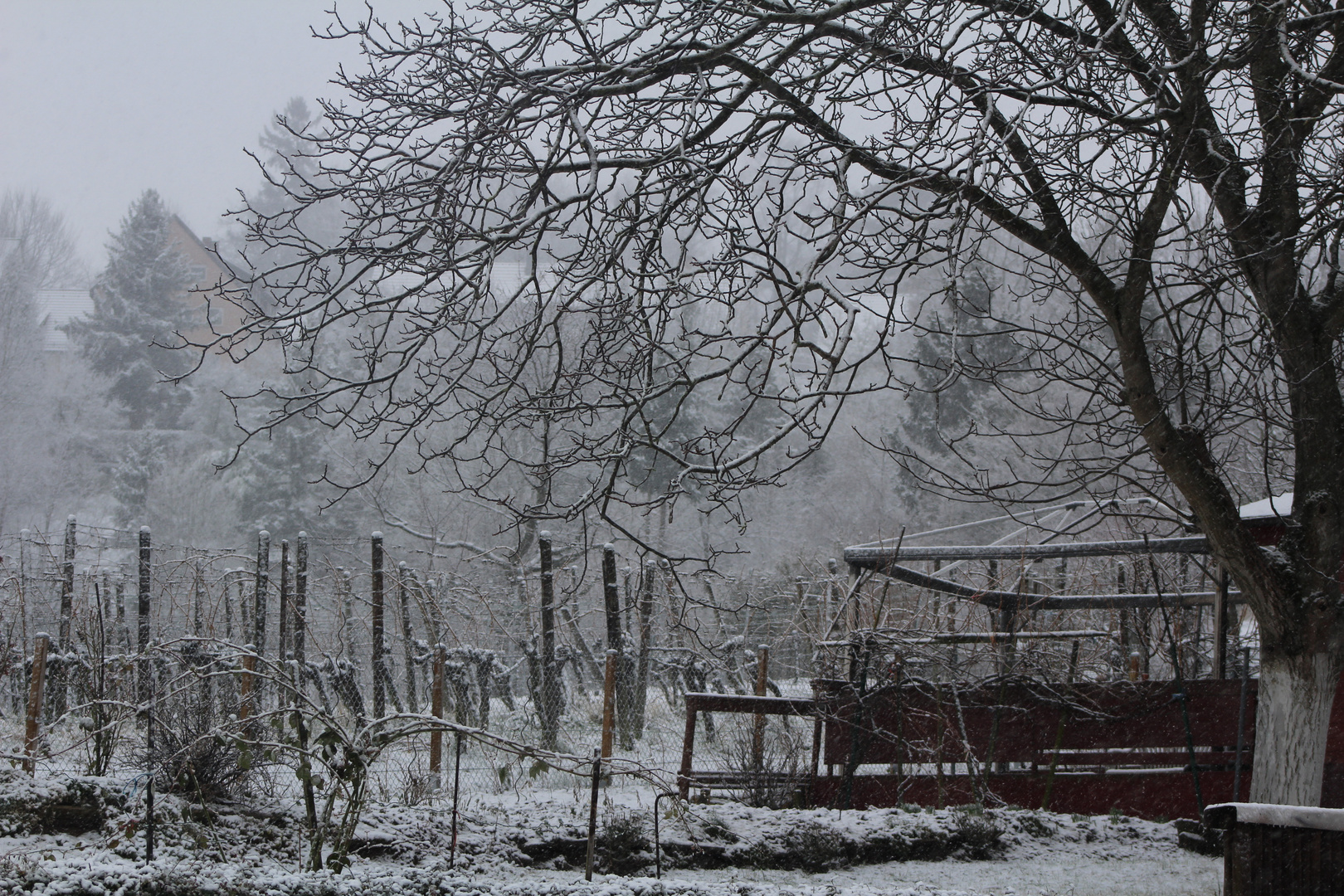 Impression Winterstunden in den alten Gärten