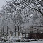 Impression Winterstunden in den alten Gärten