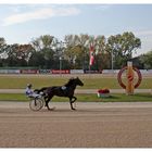 Impression zwischen den Rennen (Trabrennbahn Dinslaken)