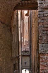 Impressione da Siena -3-