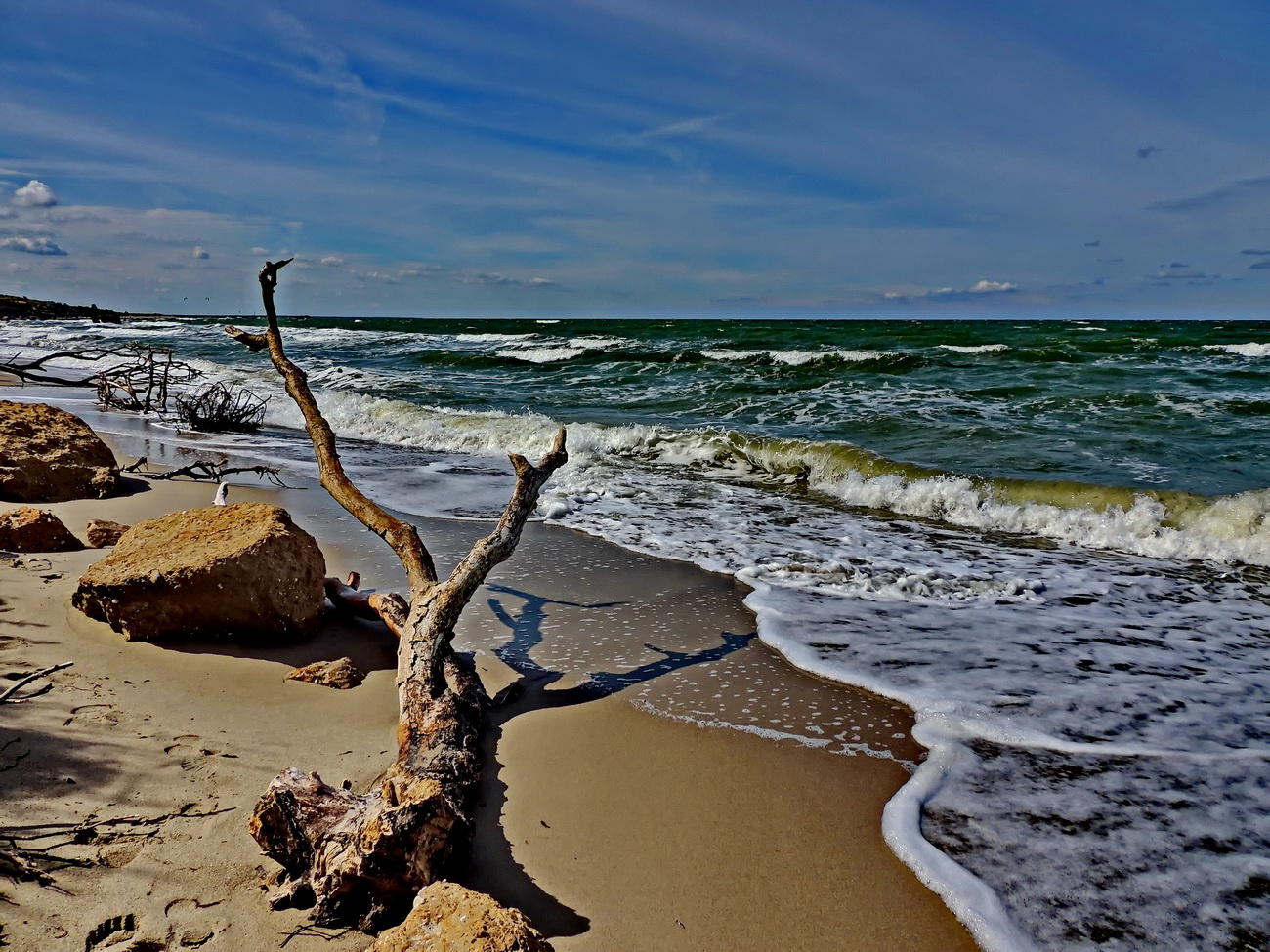Impressionen Foto &amp; Bild | wasser, bäume, licht Bilder auf fotocommunity