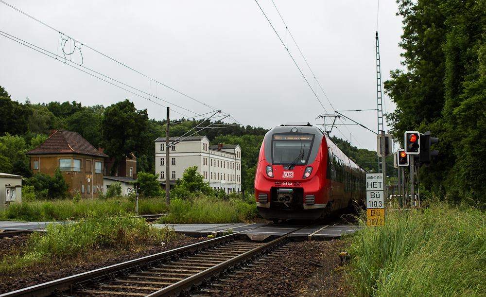 IMprESSIONEN (34): "Hamster" in Neuzelle