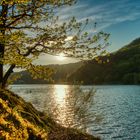 Impressionen am Edersee.