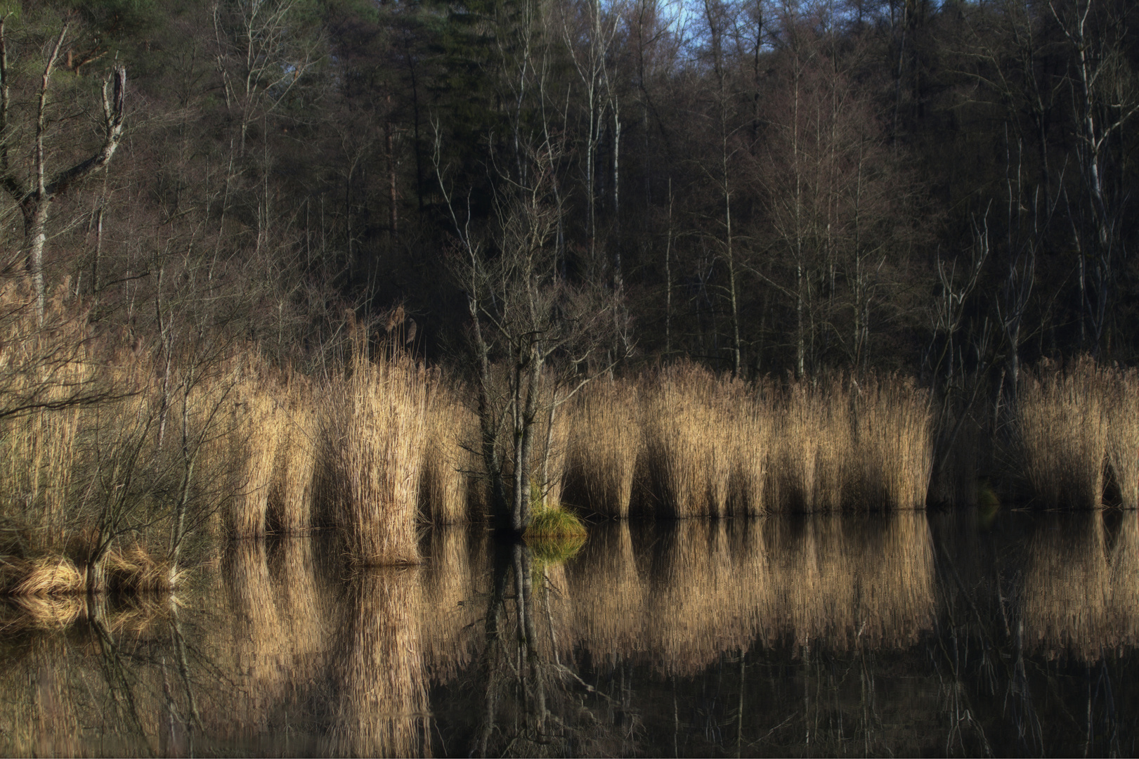 Impressionen am Fischteich Dez. 2015