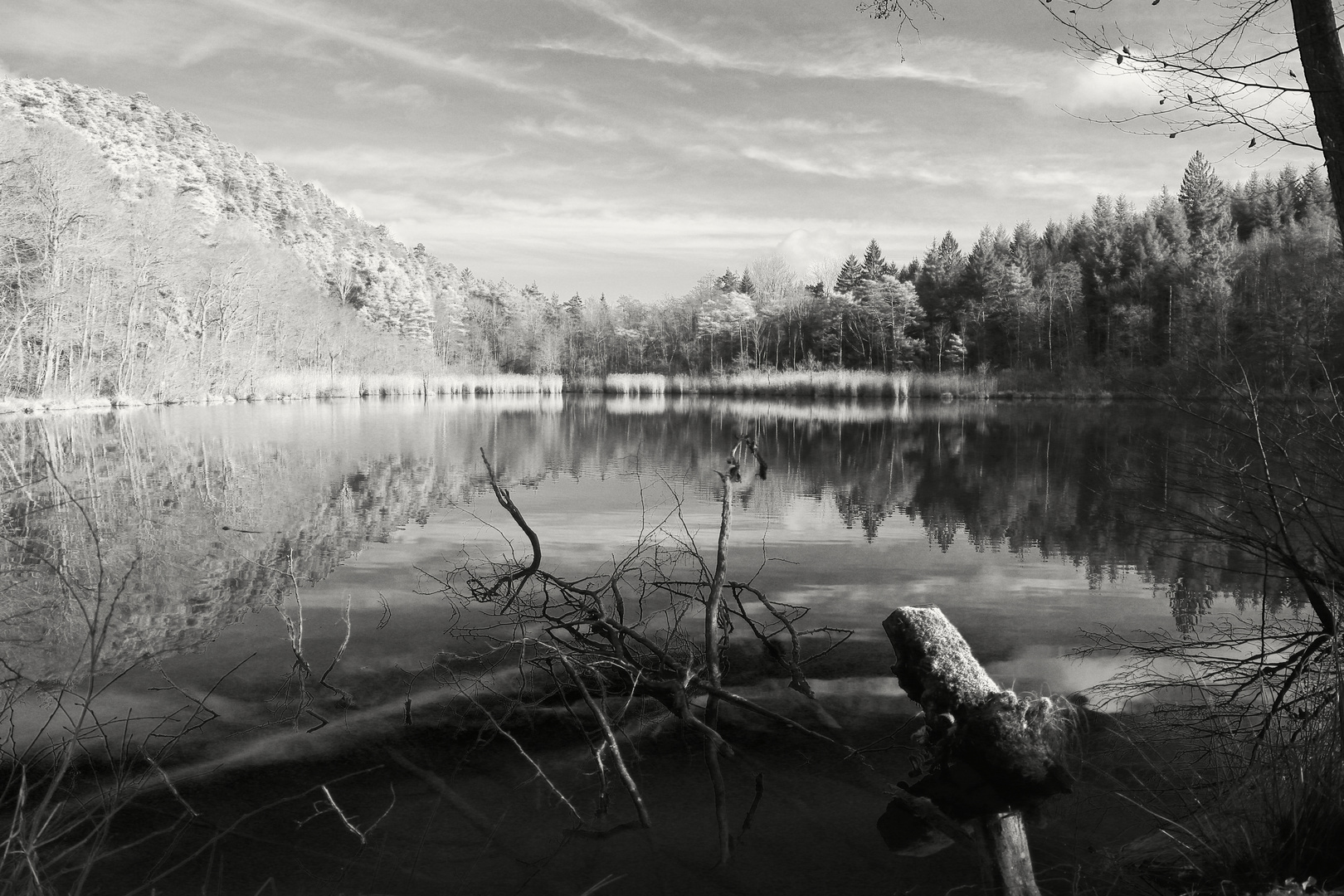 Impressionen am Fischteich in SW Anf. Jan. 2016