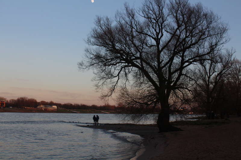 Impressionen am Rhein_1