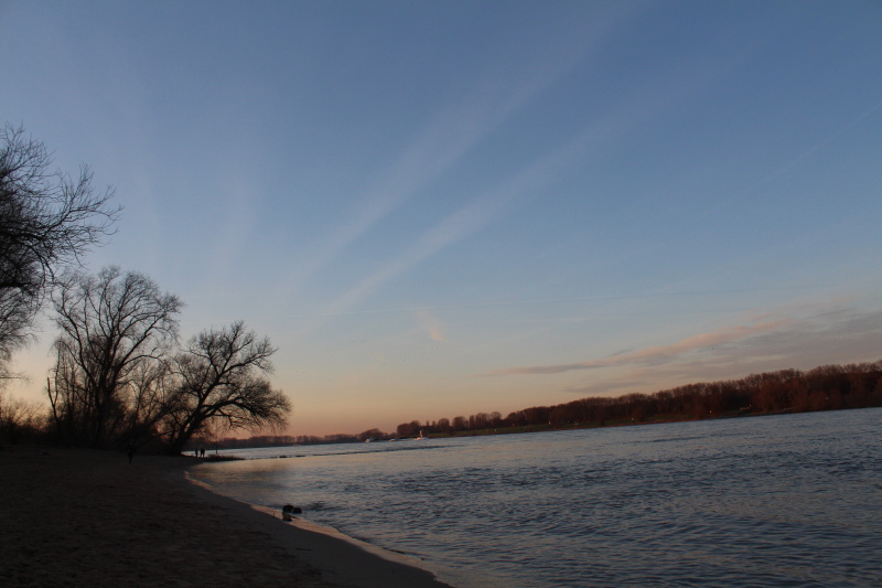 Impressionen am Rhein_2