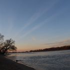 Impressionen am Rhein_2