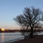 Impressionen am Rhein_3