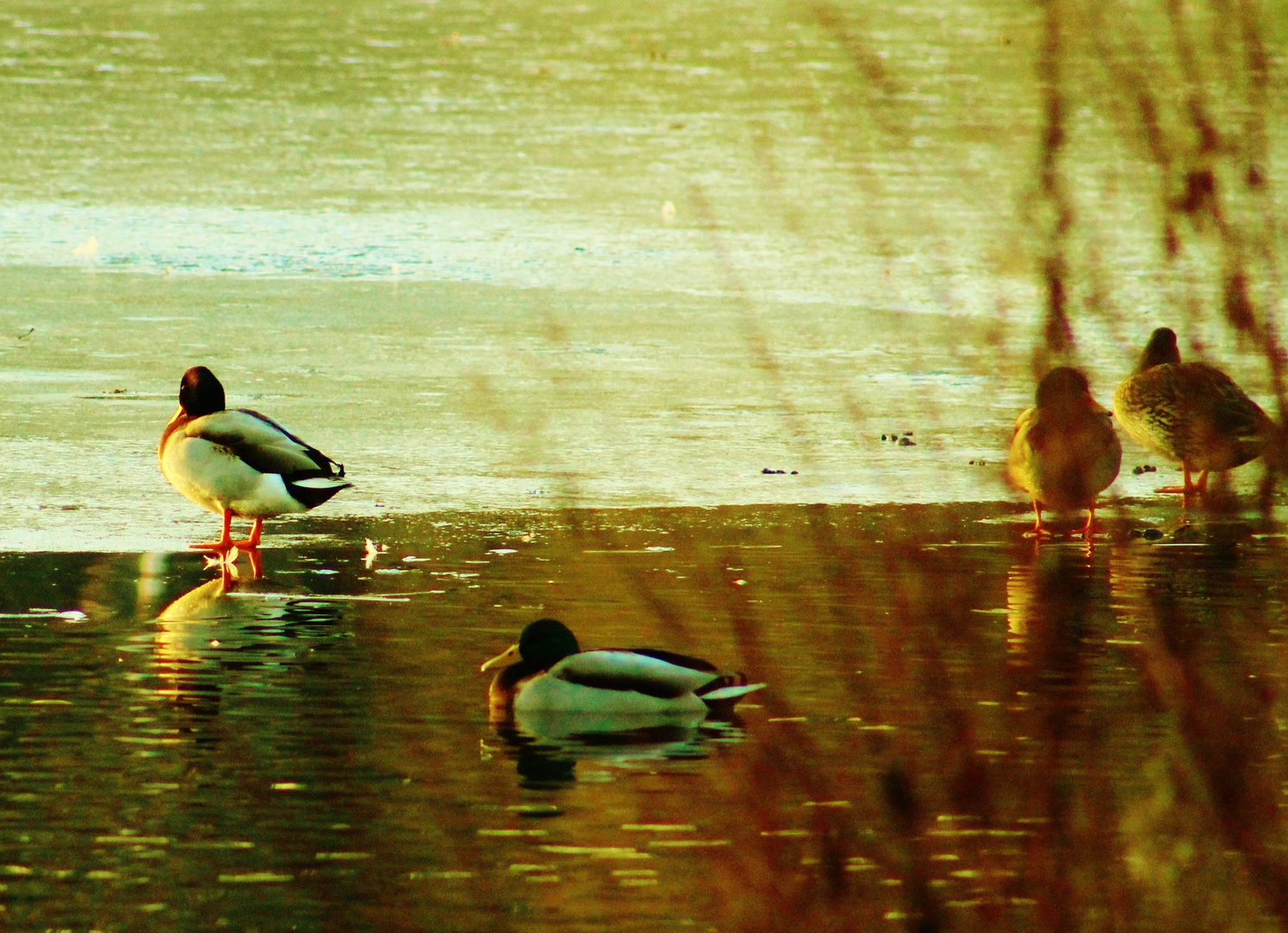 Impressionen am See 