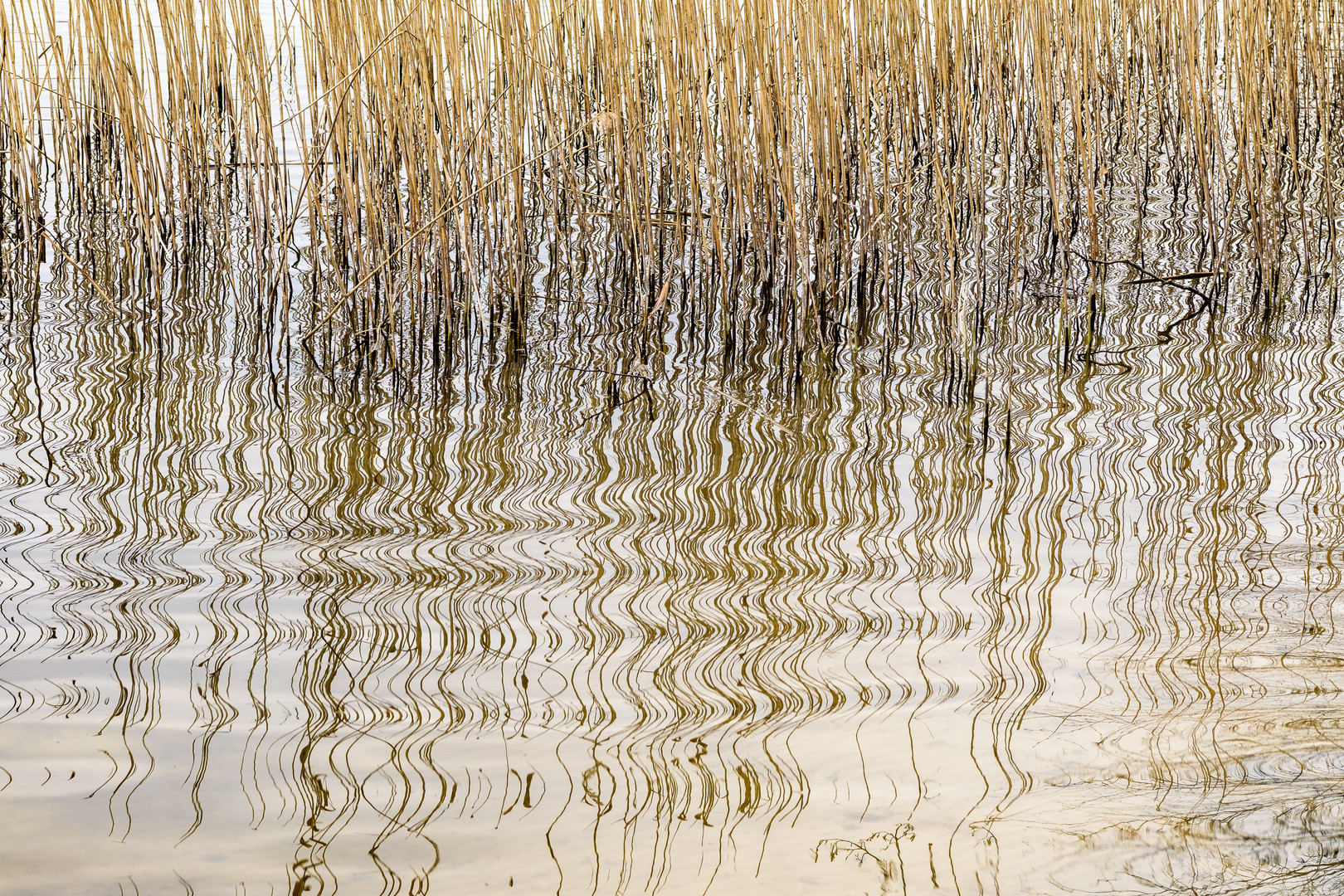 Impressionen am Springsee im Land Brandenburg