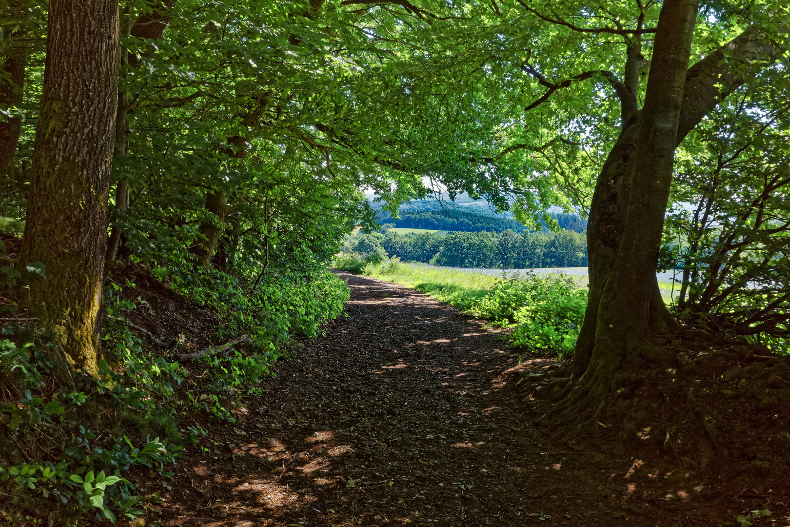 Impressionen am Steinbachpfad 