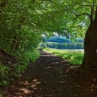 Impressionen am Steinbachpfad 