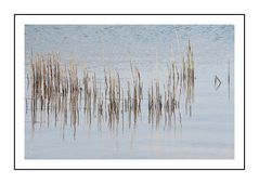 Impressionen am Strand