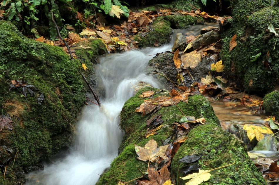 Impressionen am Wasser IV