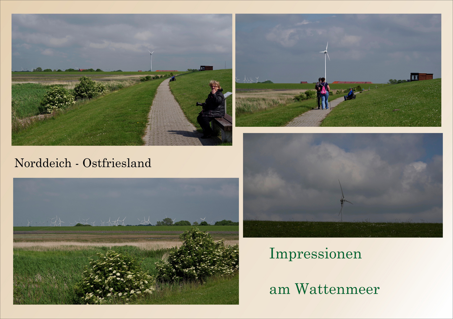 Impressionen am Wattenmeer