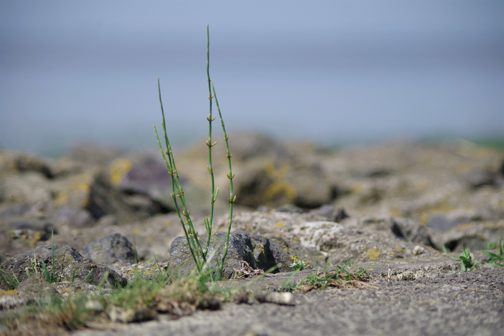 Impressionen an der Elbe