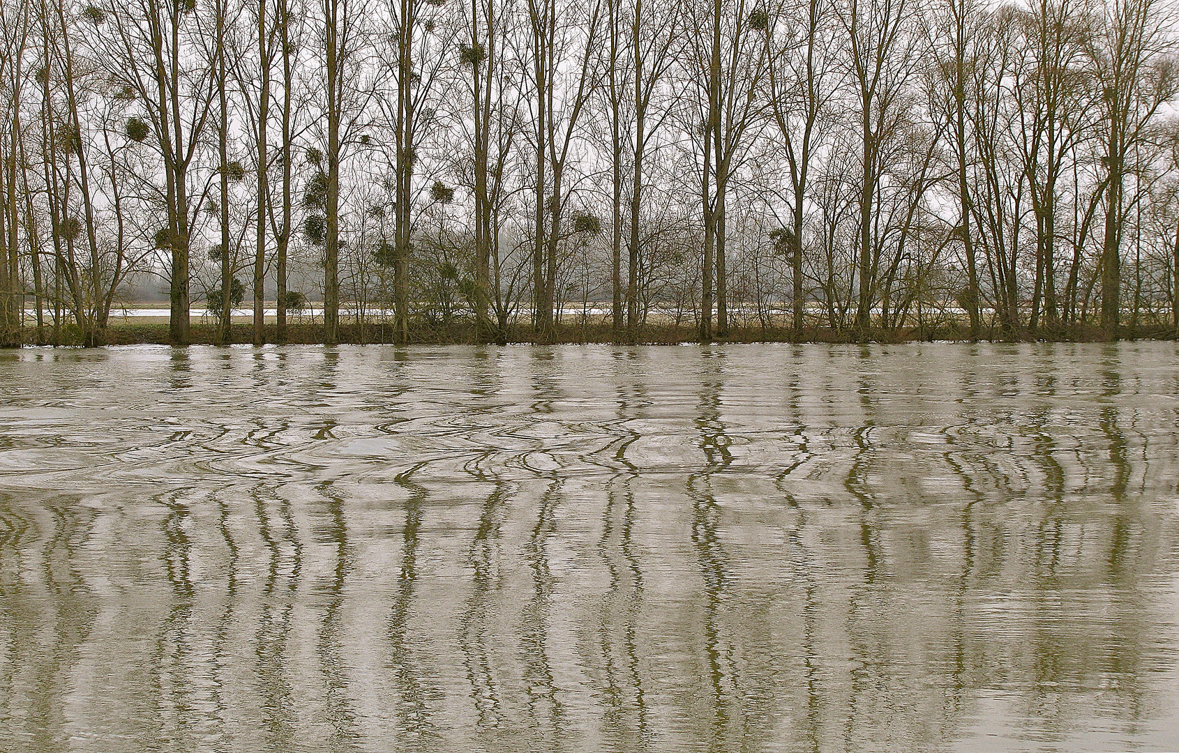 .. Impressionen an der Saône ..