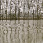 .. Impressionen an der Saône ..