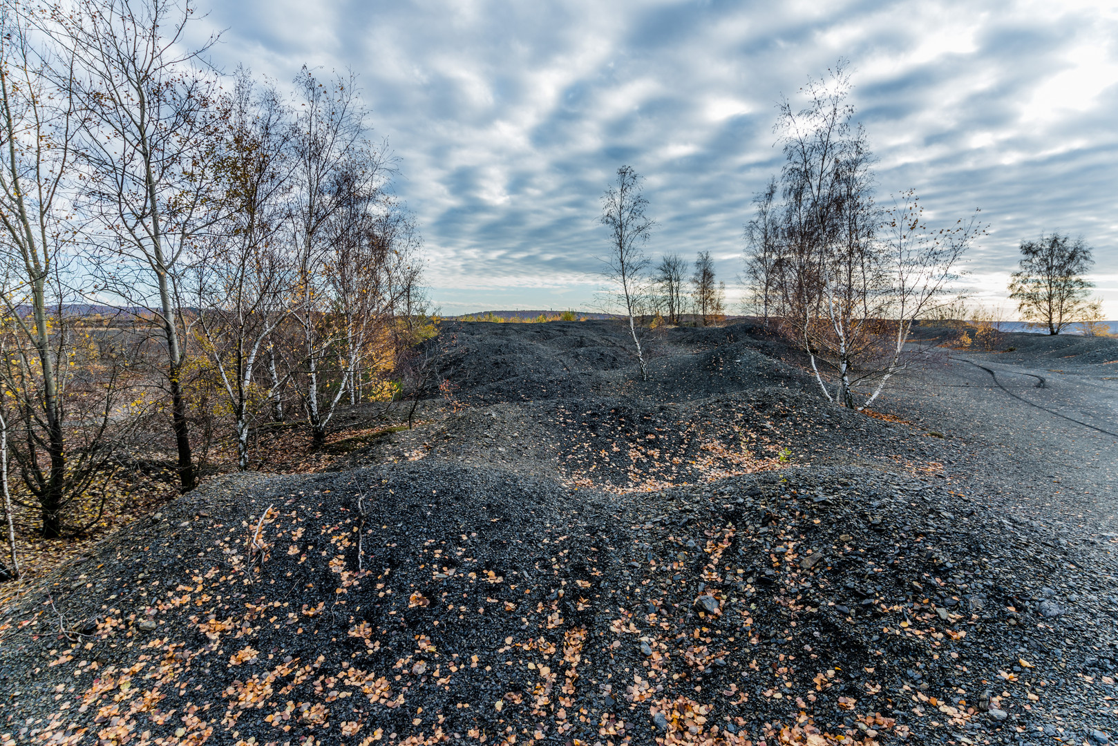 Impressionen auf dem Plateau der Halde Lydia Camphausen