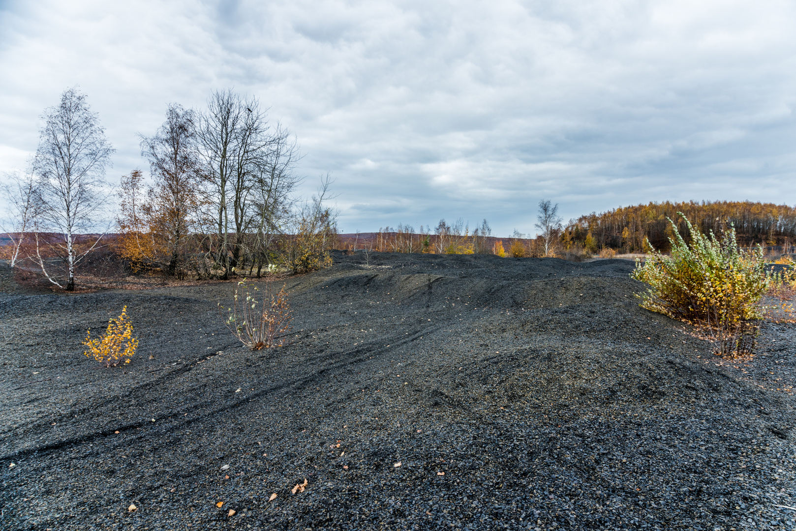 Impressionen auf dem  Plateau der Halde Lydia Camphausen