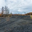 Impressionen auf dem  Plateau der Halde Lydia Camphausen