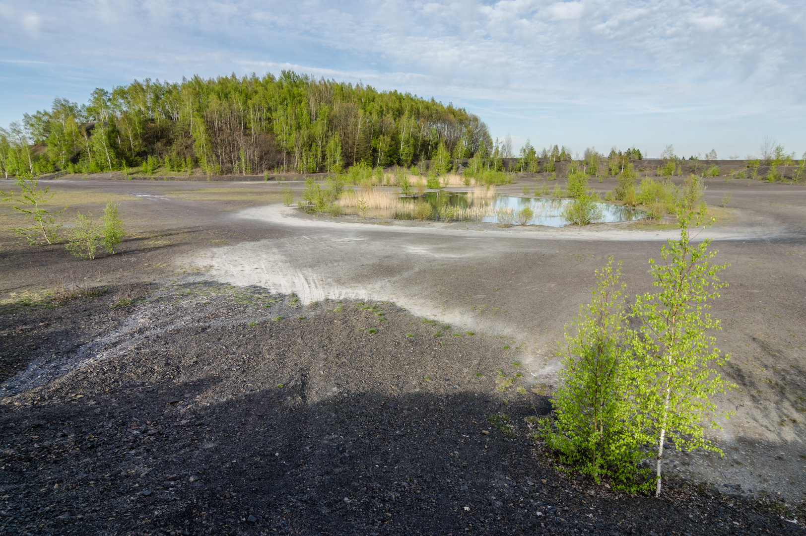 Impressionen auf dem Plateau der Halde Lydia Camphausen