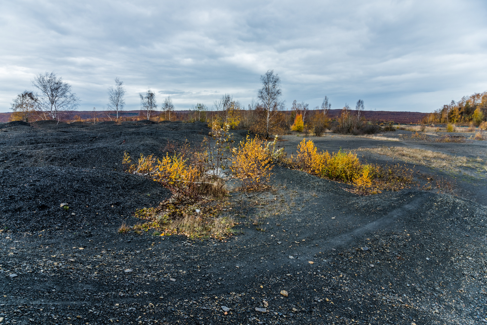 Impressionen auf dem Plateau der Halde Lydia Camphausen