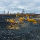 Impressionen auf dem Plateau der Halde Lydia Camphausen