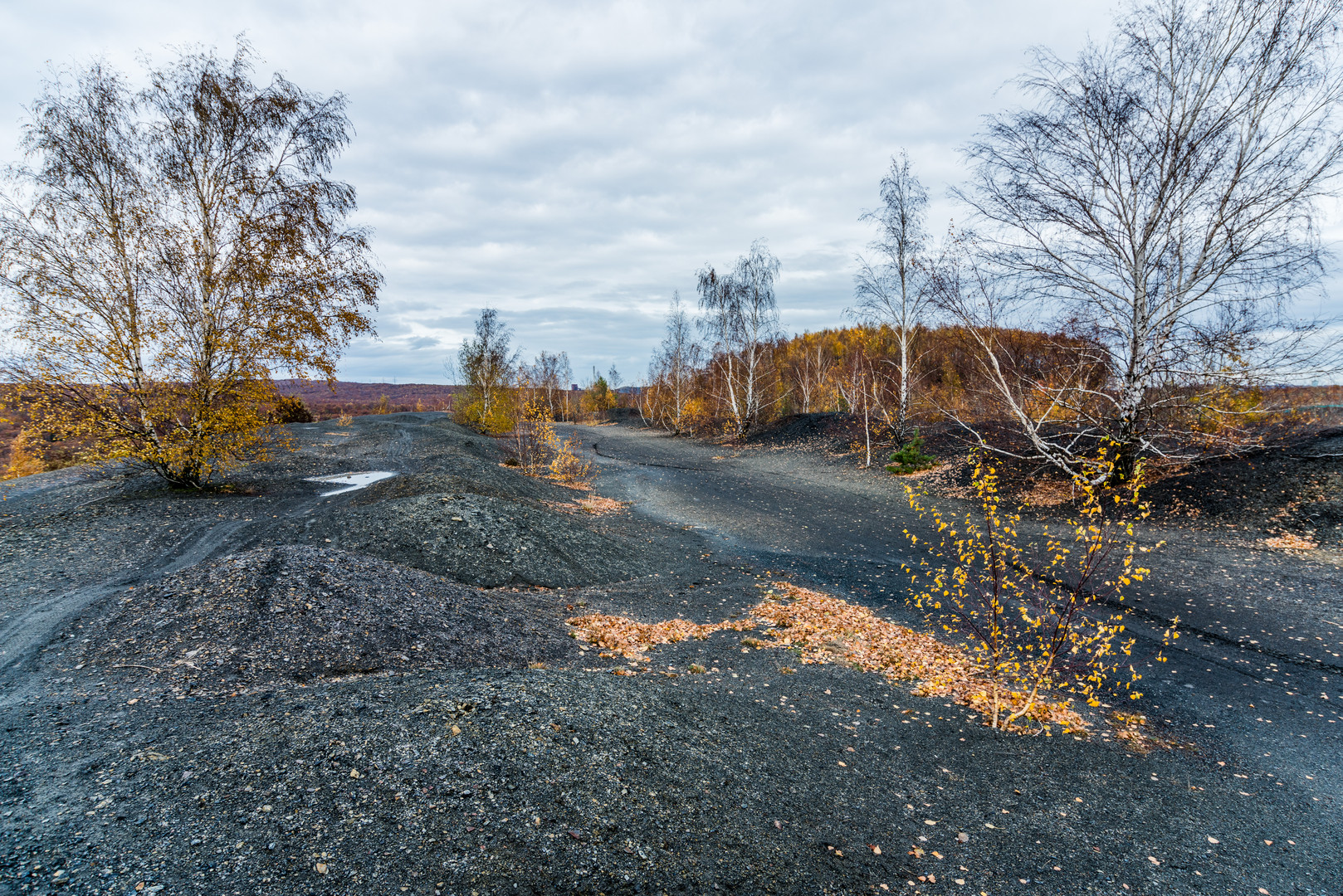 Impressionen auf dem Plateau der Halde Lydia Camphausen