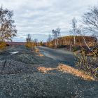 Impressionen auf dem Plateau der Halde Lydia Camphausen