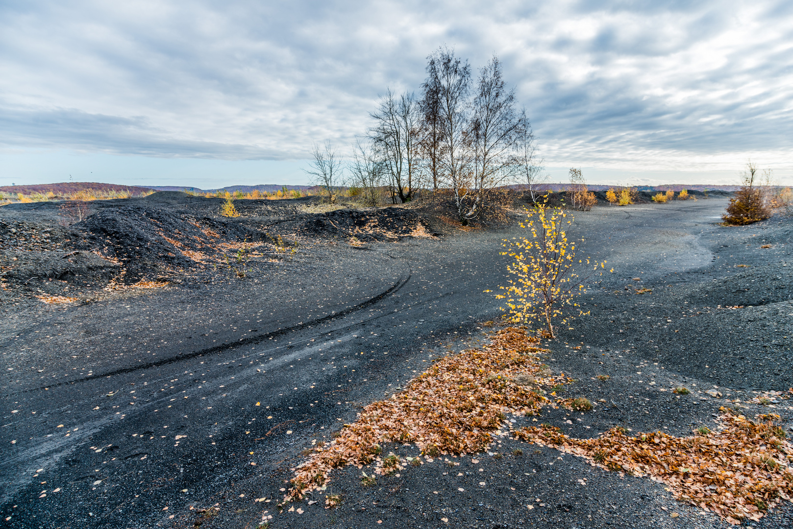 Impressionen auf dem Plateau der Halde Lydia Camphausen