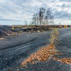 Impressionen auf dem Plateau der Halde Lydia Camphausen