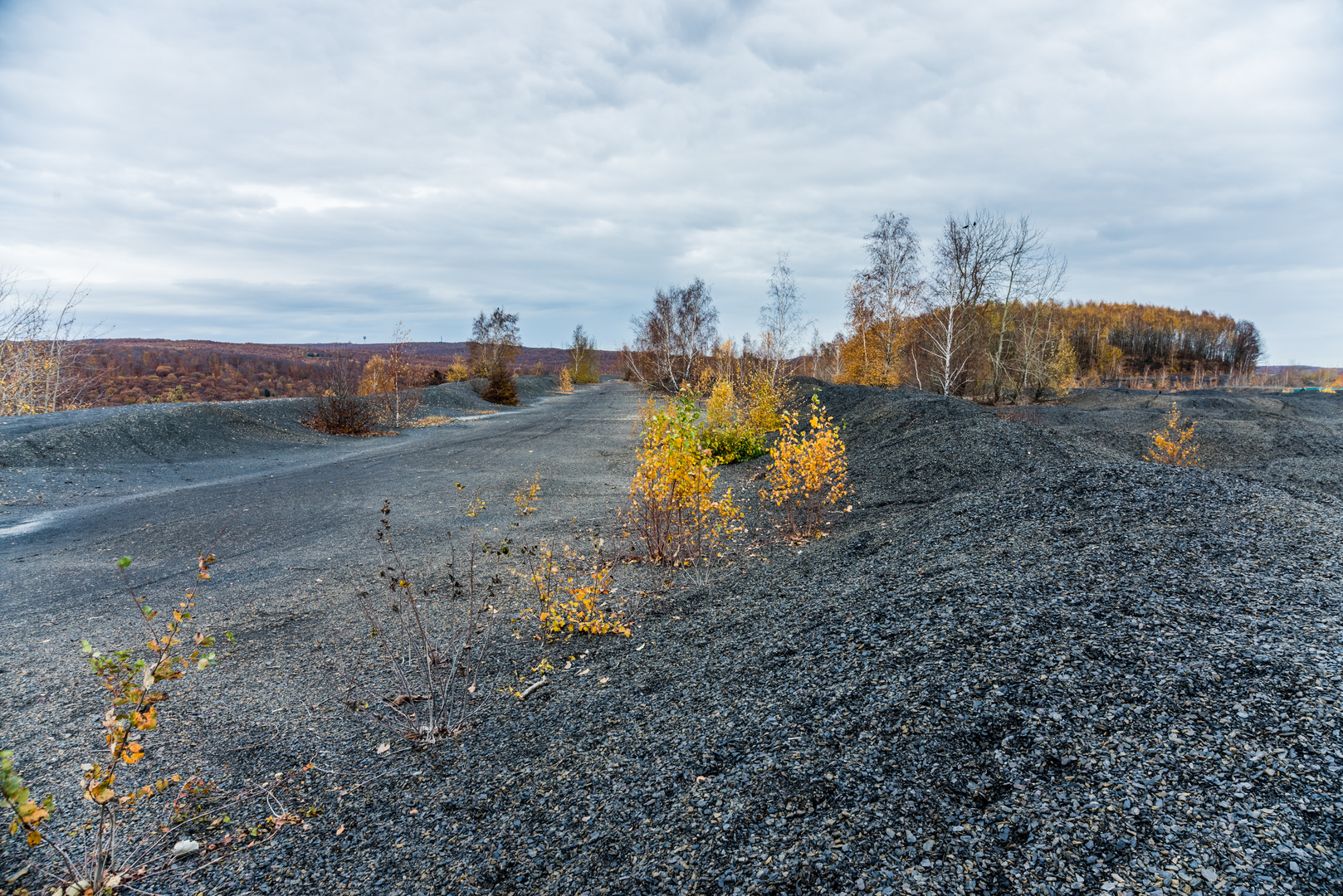 Impressionen auf dem Plateau der Halde Lydia Camphausen