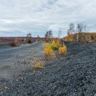 Impressionen auf dem Plateau der Halde Lydia Camphausen