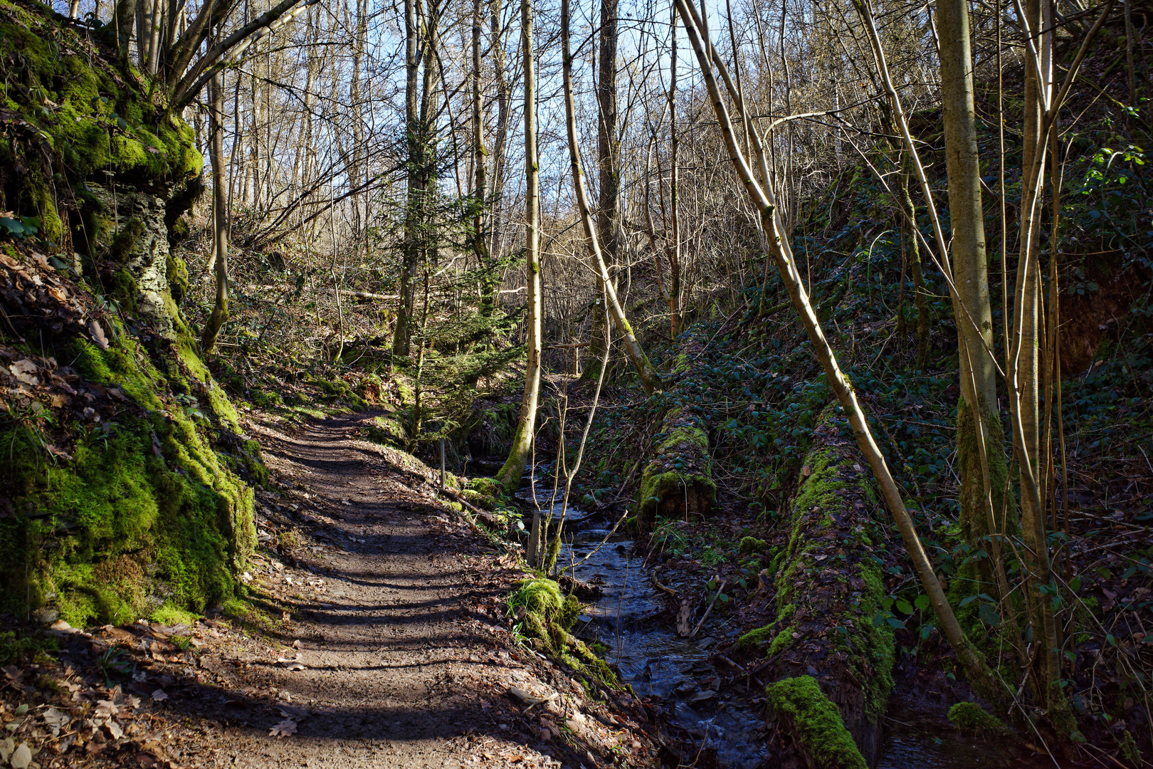 Impressionen auf dem Schauinslandweg  (2)