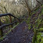 Impressionen auf dem Schauinslandweg