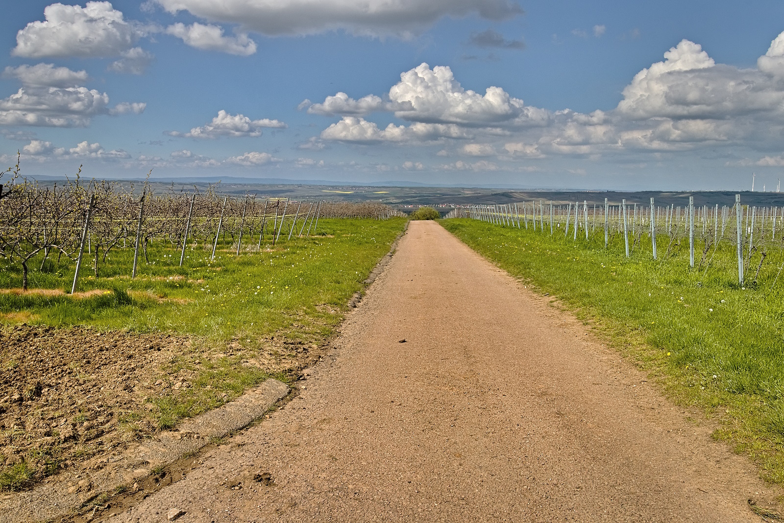 Impressionen auf der Oswaldhöhe