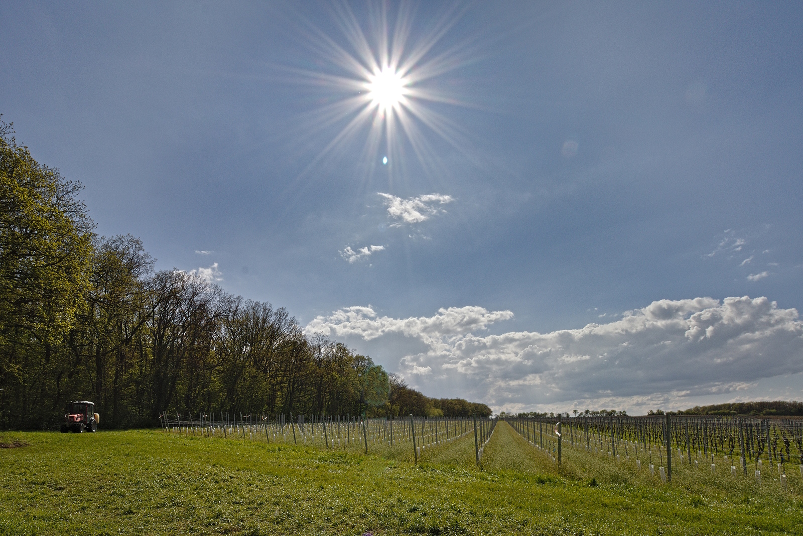 Impressionen auf der Oswaldhöhe