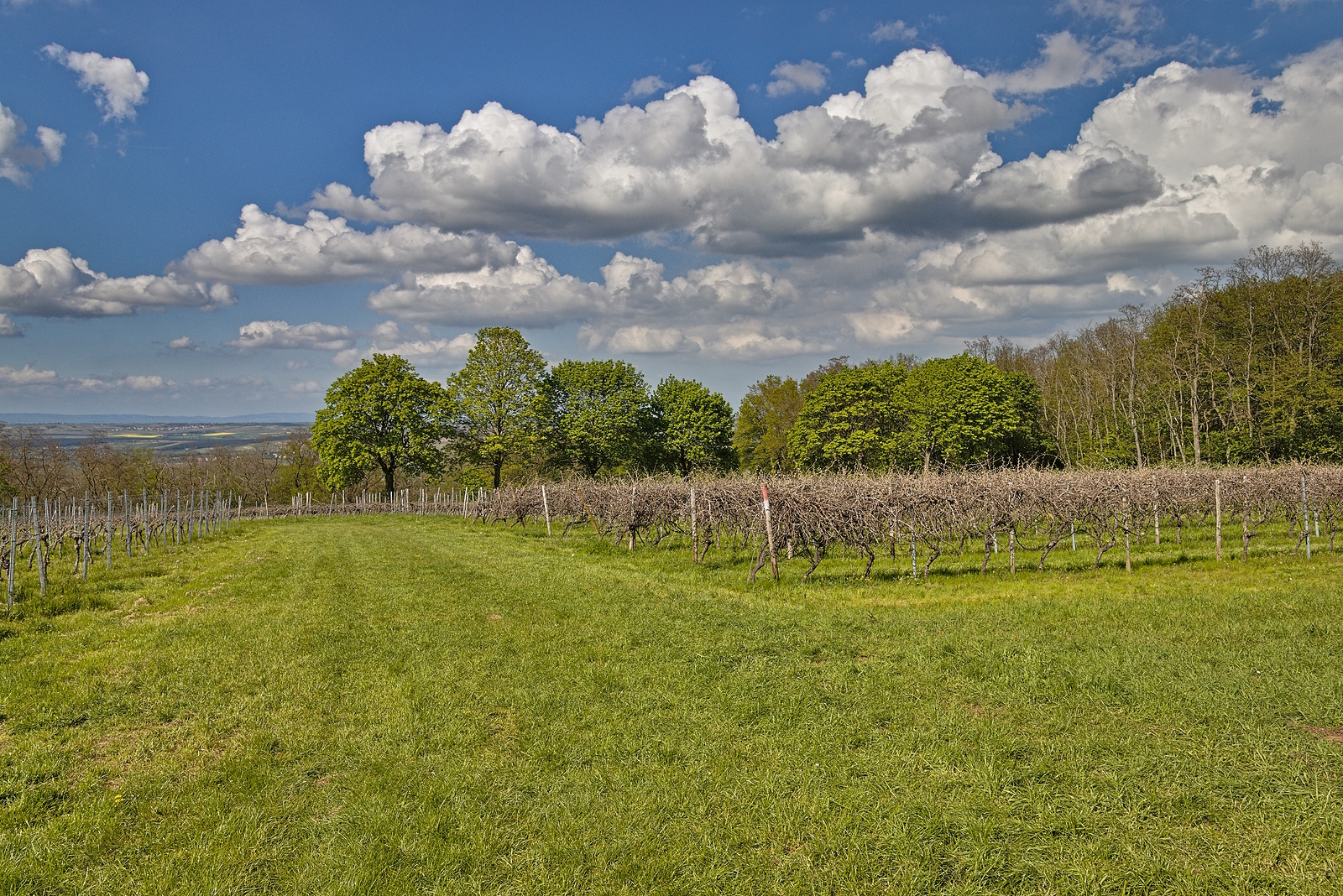 Impressionen auf der Oswaldhöhe