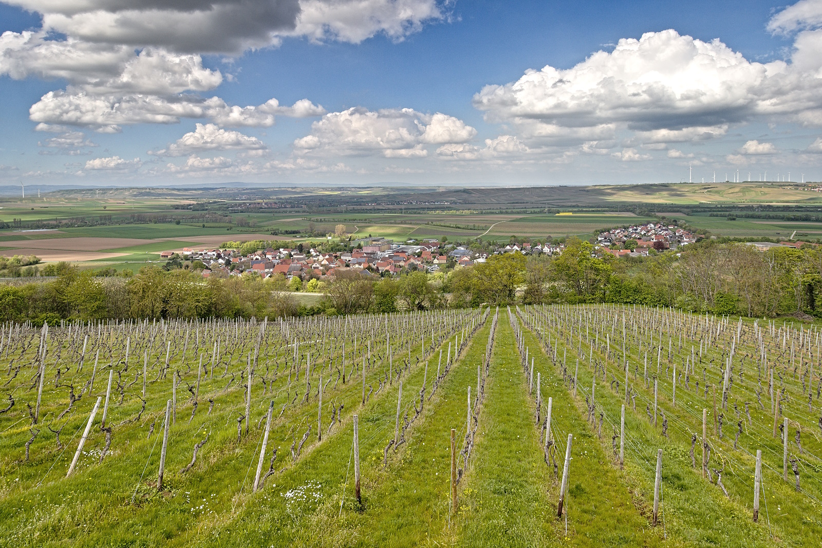 Impressionen auf der Oswaldhöhe