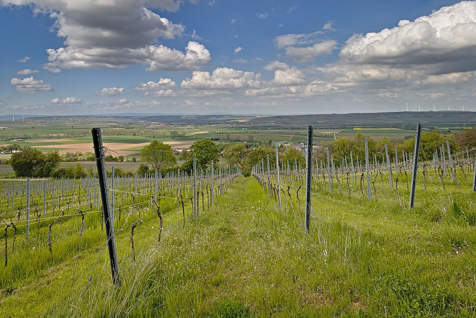 Impressionen auf der Oswaldhöhe